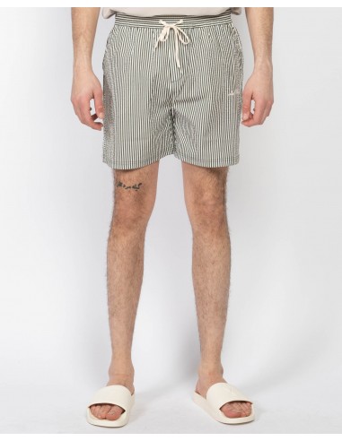 Stan Stripe Swim Shorts