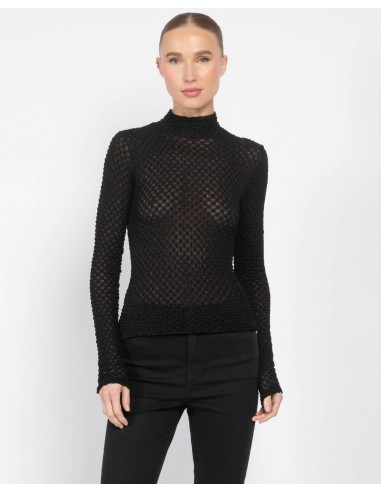 Mesh Lace Turtleneck