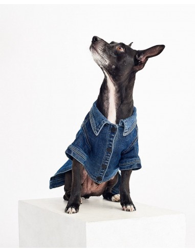 Fido Canine Denim Trucker Jacket